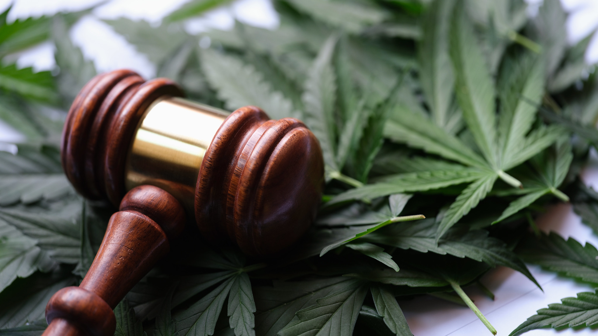 Marijuana legalization