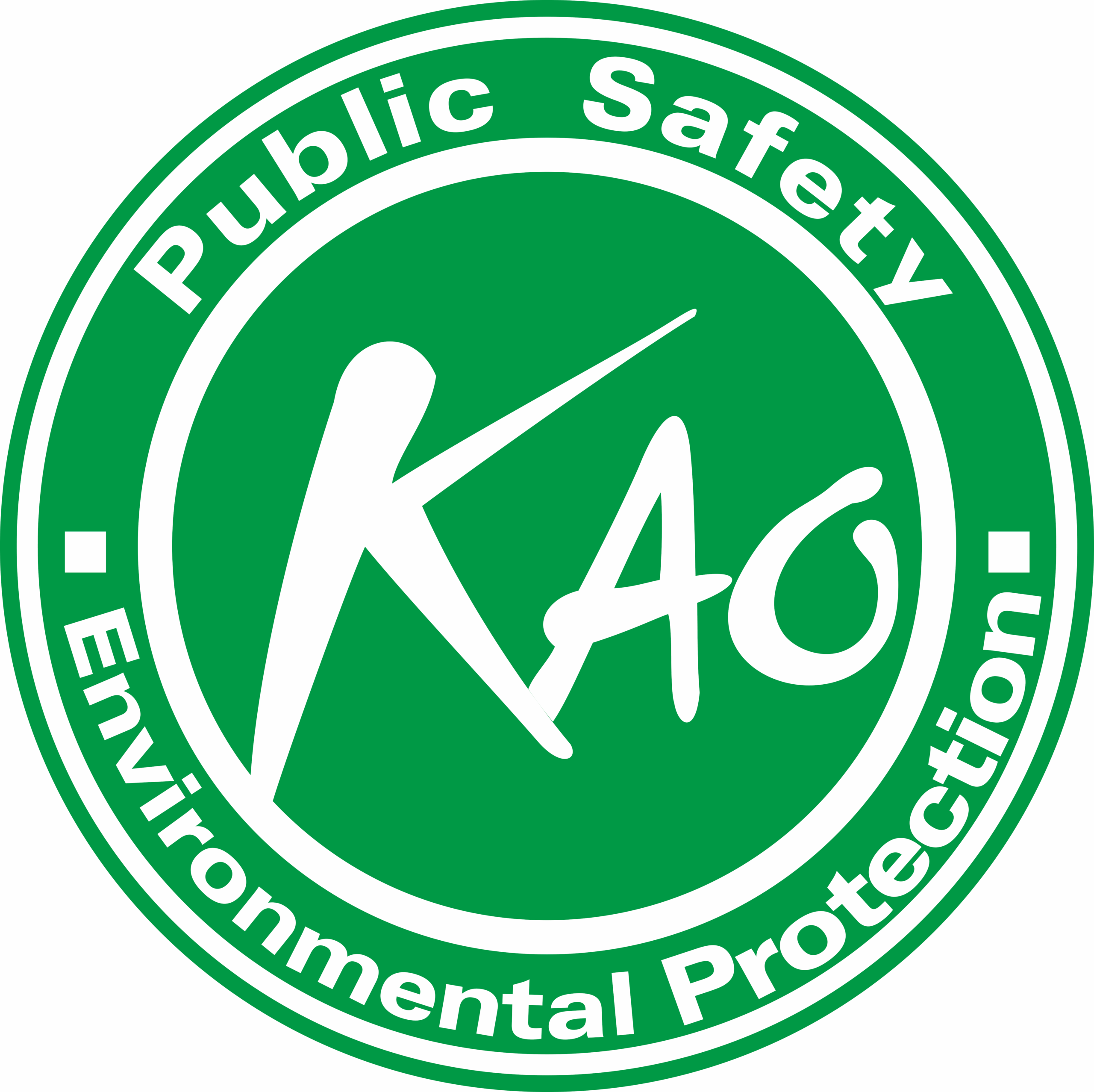 Kaoten channel partner logo
