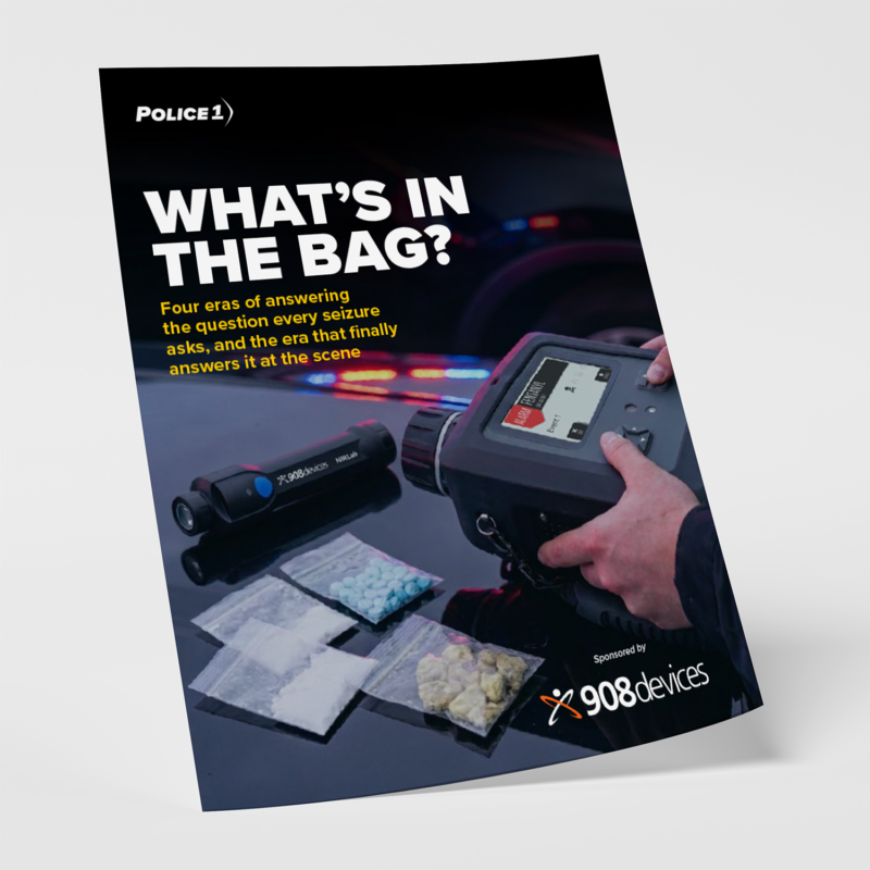 ebook what is in the bag application notes and snapshots
